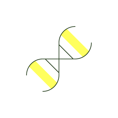 DNA diet and exercise test