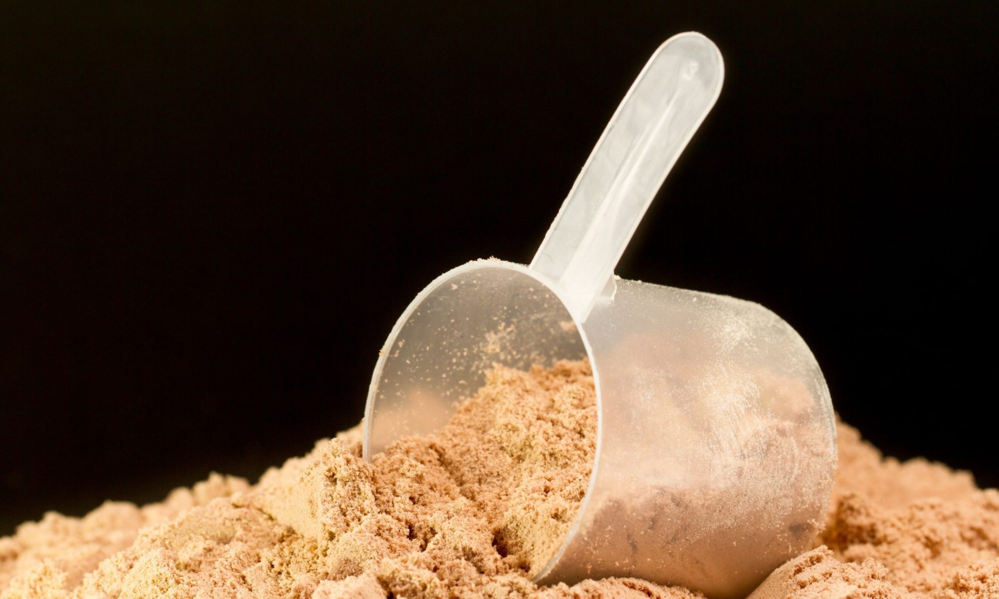 whey protein