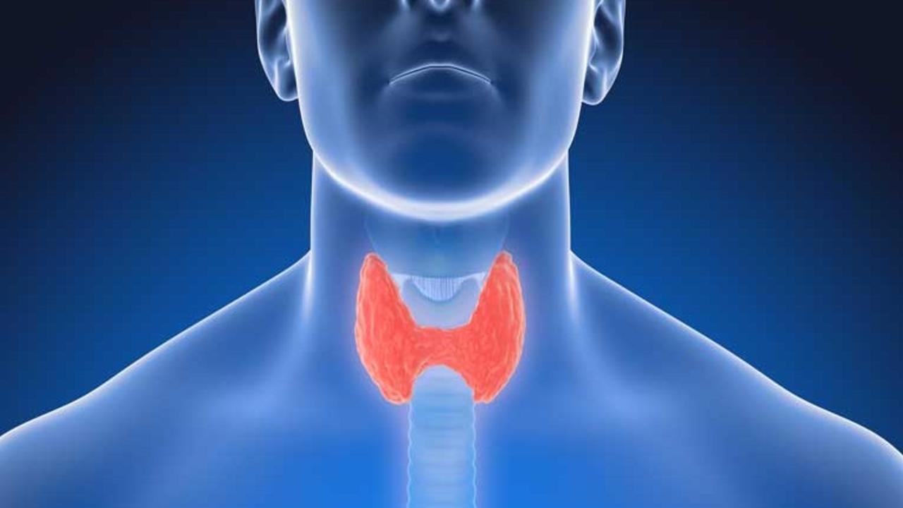 Thyroid Hormones Naturally